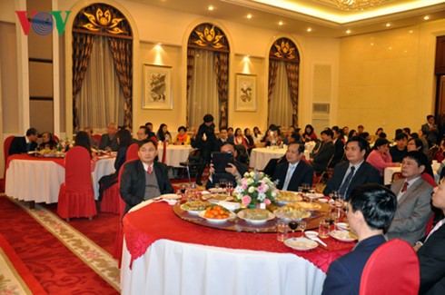 Đại sứ quán Việt Nam tại các nước tổ chức đón Tết Bính Thân  - ảnh 1