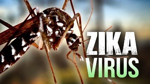 Bộ Y tế khẳng định chưa phát hiện vi rút Zika tại Việt Nam  - ảnh 1