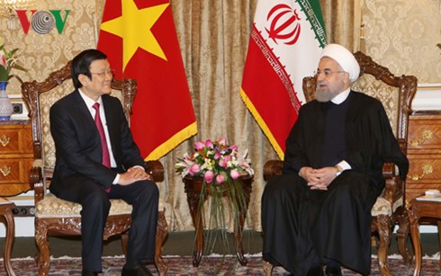 Chủ tịch nước Trương Tấn Sang hội đàm với Tổng thống Iran - ảnh 4