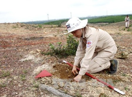 Việt Nam nỗ lực khắc phục hậu quả bom mìn - ảnh 1