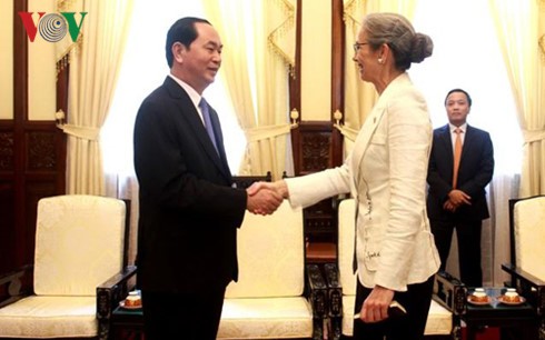 Chủ tịch nước Trần Đại Quang tiếp Đại sứ các nước - ảnh 1