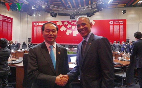 Chủ tịch nước Trần Đại Quang hội kiến các lãnh đạo APEC - ảnh 4
