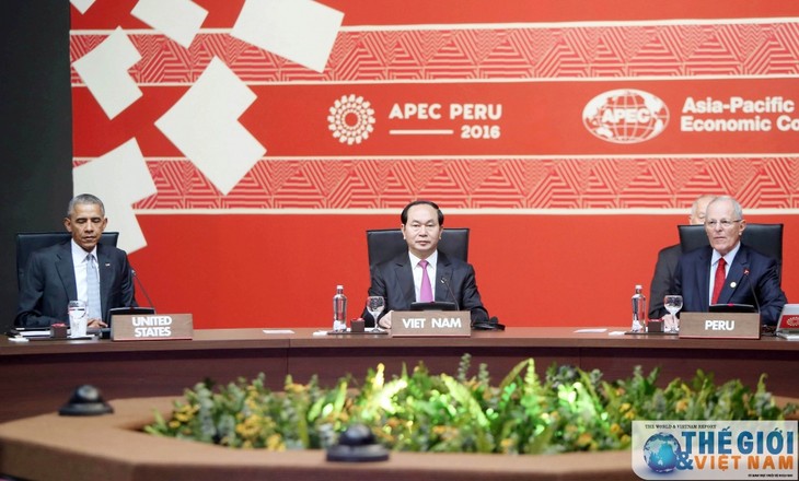 Bế mạc Hội nghị cấp cao APEC - ảnh 2