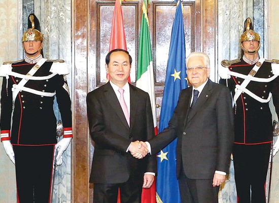 Chủ tịch nước Trần Đại Quang hội đàm với Tổng thống Italia Sergio Mattarella - ảnh 2