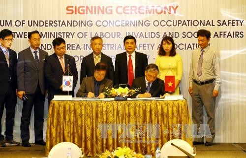 Việt Nam - Hàn Quốc tăng cường phối hợp trong lĩnh vực an toàn vệ sinh lao động  - ảnh 1