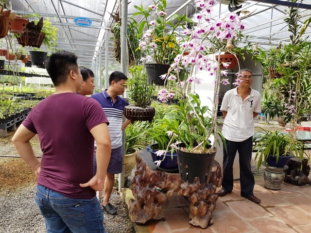 Thành lập Trung tâm Nghiên cứu bảo tồn và phát triển Hoa lan Việt Nam - ảnh 2