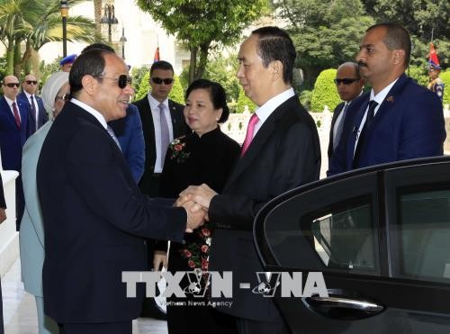 Tổng thống Abdel Fattah Al Sisi chủ trì lễ đón và Hội đàm với Chủ tịch nước Trần Đại Quang - ảnh 1