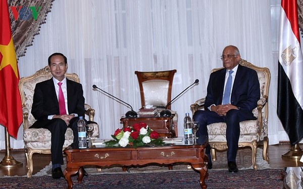 Chủ tịch nước Trần Đại Quang hội kiến với Chủ tịch Quốc hội Ai Cập - ảnh 1