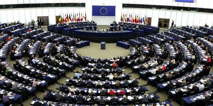 Bầu cử nghị viện châu Âu:  những thách thức hiện hữu - ảnh 1