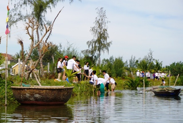 Thanh thiếu niên kiều bào trồng rừng ngập mặn bảo vệ môi trường tại Hội An - ảnh 17
