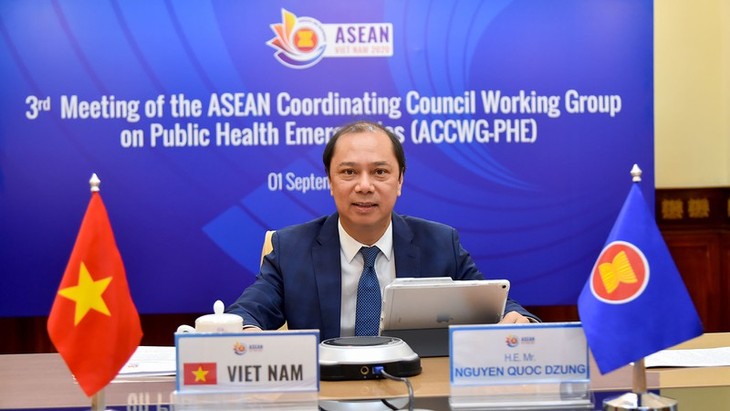 ASEAN chủ động đối phó và hỗ trợ cộng đồng doanh nghiệp, người dân trong đại dịch Covid-19 - ảnh 1