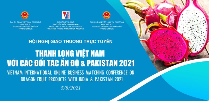 Mở rộng tiêu thụ thanh long Việt Nam tại Ấn Độ và Pakistan - ảnh 1