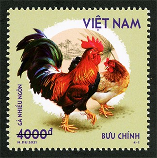 Phát hành bộ tem bưu chính “Gà bản địa Việt Nam” - ảnh 1