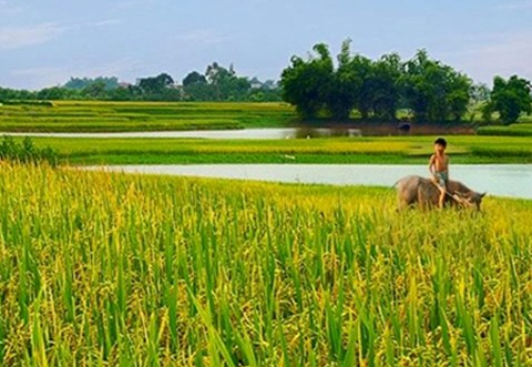 Hát lên Việt Nam - Niềm hãnh diện về quê hương tươi đẹp  - ảnh 1