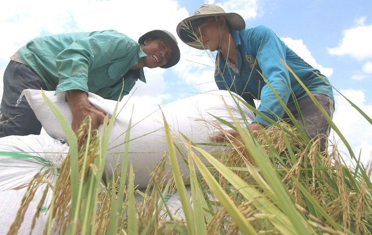 Trình độ C2 - Bài 14: Xóa đói giảm nghèo (Tiết 3) - ảnh 1