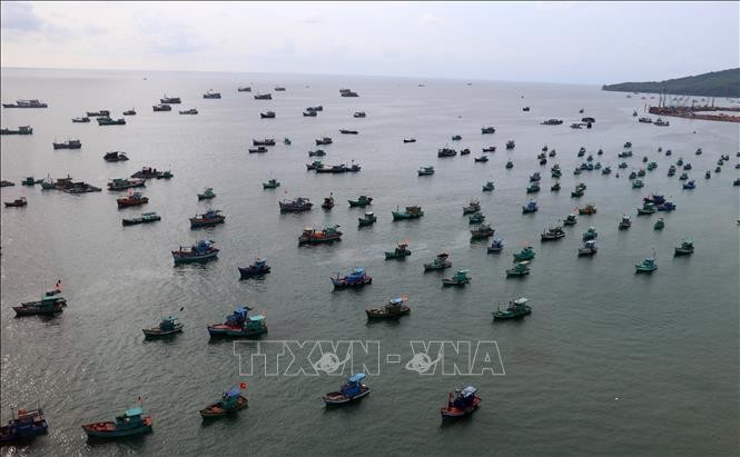 Chuyên gia Nga đề cao chính sách của Việt Nam nỗ lực tạo dựng môi trường hòa bình, ổn định  - ảnh 1