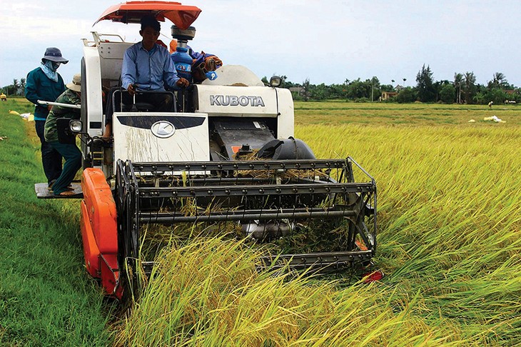 Xuất khẩu gạo hữu cơ sang Châu Âu: khởi đầu mới cho ngành nông nghiệp tỉnh Quảng Trị - ảnh 3