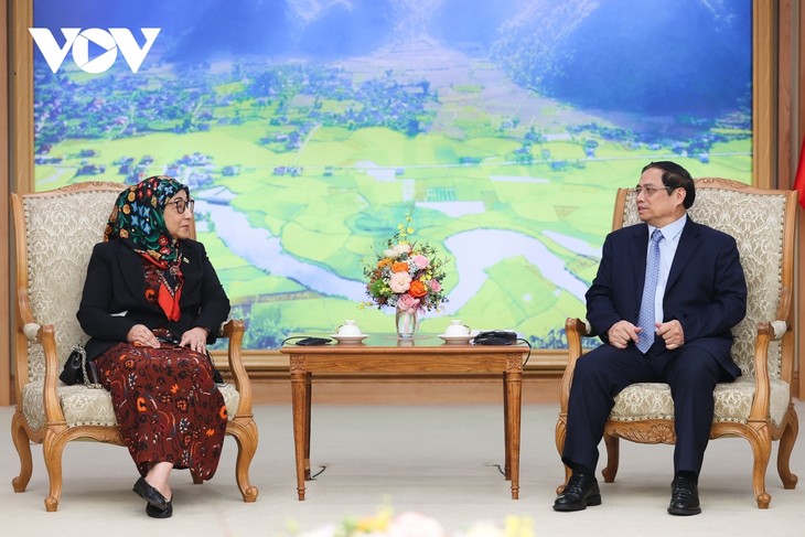 Thủ tướng Phạm Minh Chính tiếp Đại sứ Brunei tại Việt Nam  - ảnh 1