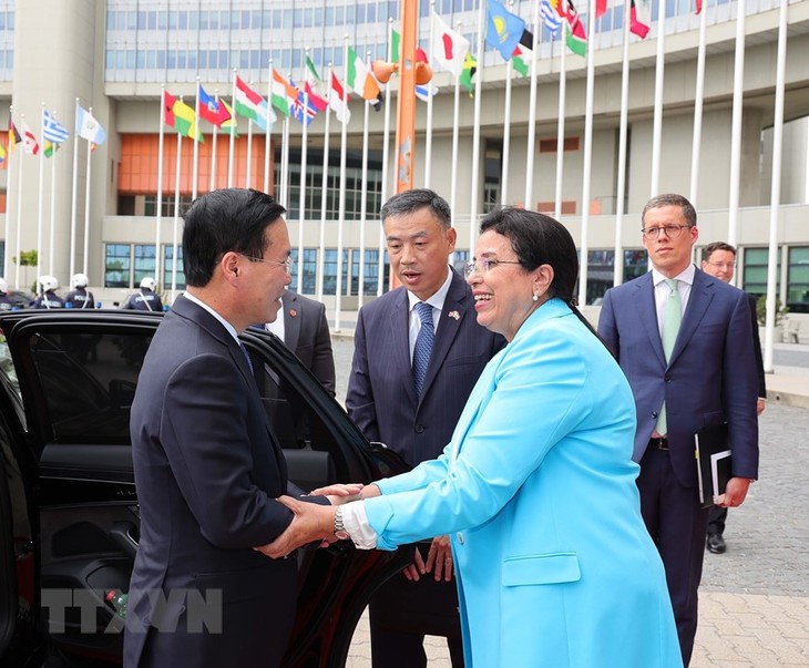 Hợp tác giữa IAEA và Việt Nam đang phát triển tốt đẹp - ảnh 1