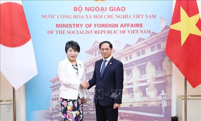 Thúc đẩy quan hệ Việt Nam-Nhật Bản phát triển mạnh mẽ, thực chất hơn nữa - ảnh 1