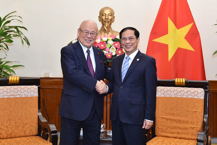 Bộ trưởng Ngoại giao Bùi Thanh Sơn tiếp Cố vấn Liên minh nghị sỹ hữu nghị Nhật-Việt - ảnh 1