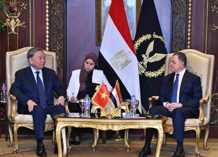 Bộ trưởng Bộ Công an Tô Lâm thăm và làm việc tại Ai Cập - ảnh 2