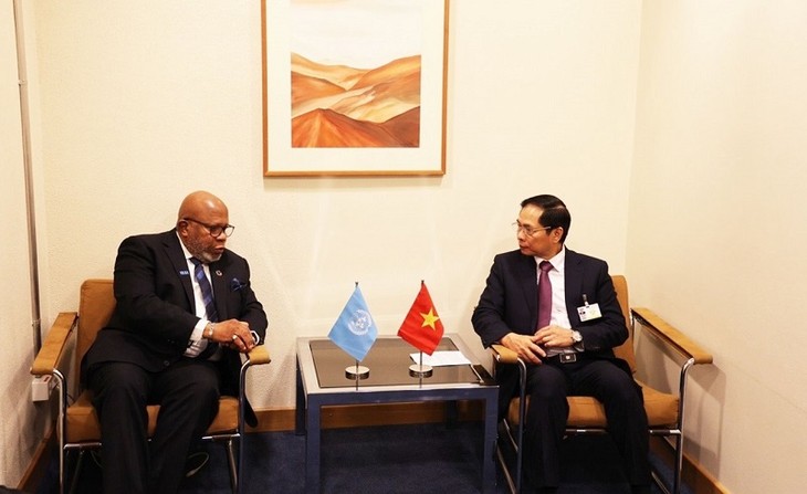 Bộ trưởng Ngoại giao Bùi Thanh Sơn gặp gỡ lãnh đạo Liên hợp quốc và các nước tại Geneva - ảnh 2