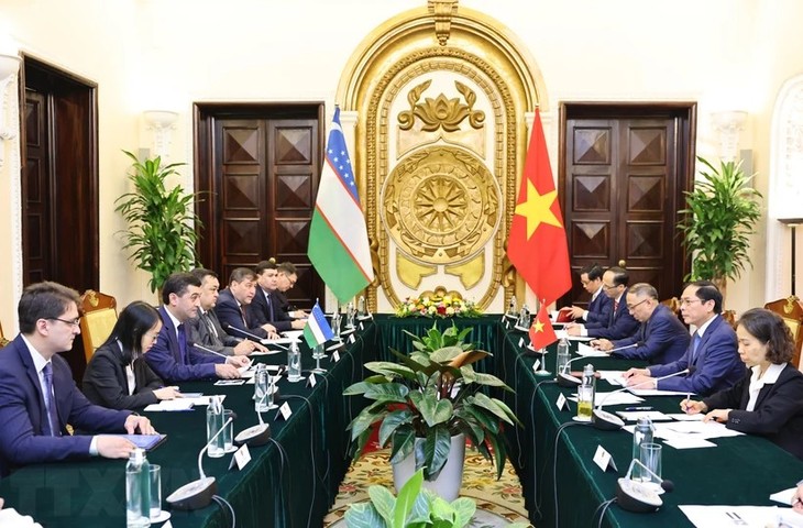 Tạo xung lực mới cho tăng cường hợp tác Việt Nam – Uzbekistan - ảnh 1