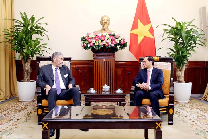 Việt Nam muốn tăng cường hợp tác nhiều mặt với Cộng hoà Dominicana - ảnh 1