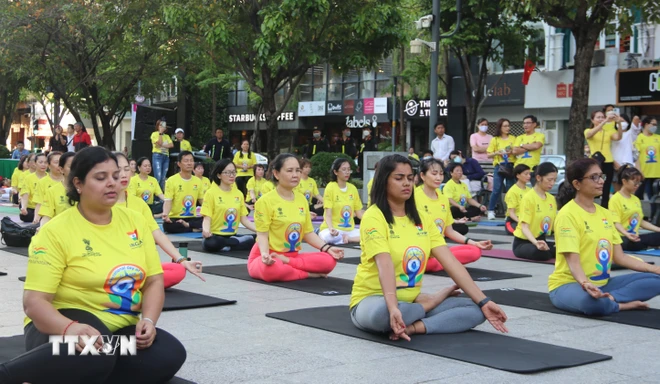 1.500 người đồng diễn tại Ngày Quốc tế Yoga lần thứ 10 - ảnh 1