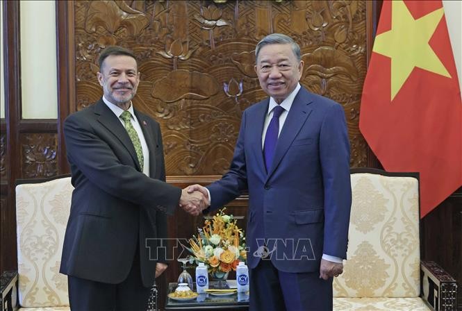 Chủ tịch nước Tô Lâm tiếp Đại sứ Australia tại Việt Nam - ảnh 1