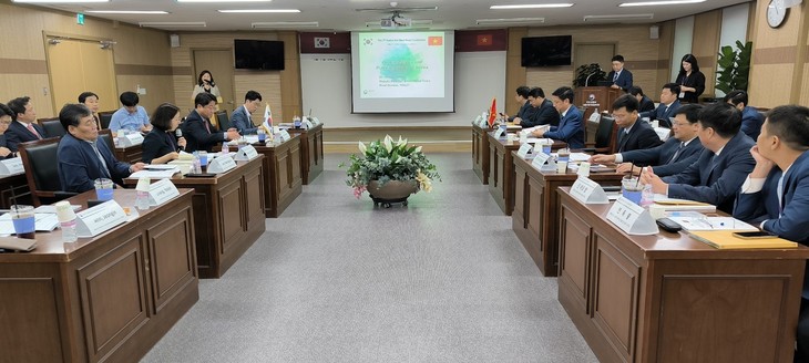 Việt Nam và Hàn Quốc tăng cường hợp tác trong ngành giao thông vận tải - ảnh 1