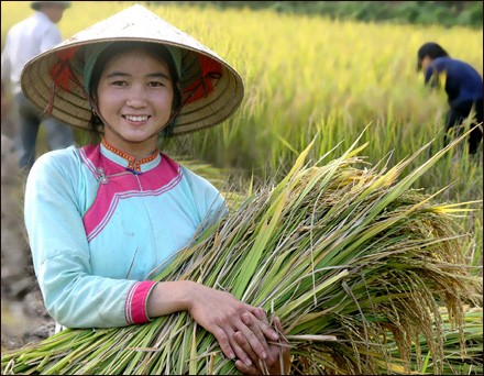 Busana wanita etnis minoritas daerah pegunungan di Vietnam Utara - ảnh 10