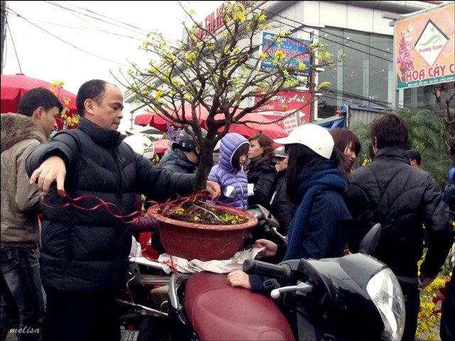 Pasar bunga Quang Ba (Hanoi) pada tanggal 30 bulan duabelas tahun imlek  - ảnh 2