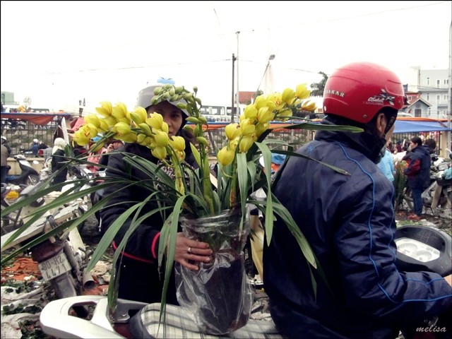 Pasar bunga Quang Ba (Hanoi) pada tanggal 30 bulan duabelas tahun imlek  - ảnh 7