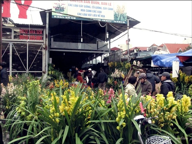 Pasar bunga Quang Ba (Hanoi) pada tanggal 30 bulan duabelas tahun imlek  - ảnh 6