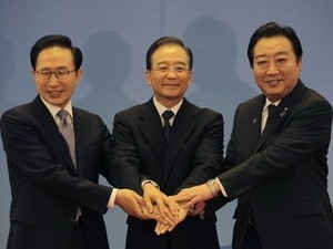 KTT Tiongkok-Jepang-Republik Korea menekankan kerjasama 3 trilateral - ảnh 1