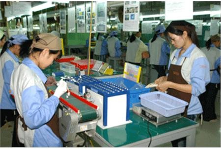 Nilai perdagangan Vietnam-Sri Lanka melampaui tarap rencana tahun 2012 - ảnh 1