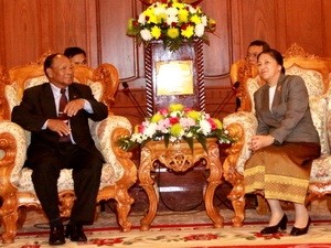 Ketua Parlemen Kamboja Heng Samrin melakukan kunjungan di Laos - ảnh 1