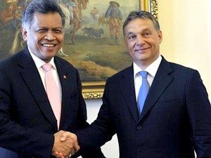 ASEAN dan Hungaria memperkuat kerjasama bilateral - ảnh 1