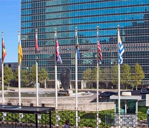 Opini Umum menentang resolusi PBB yang mengutuk Suriah - ảnh 1