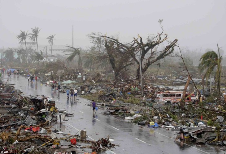 Filipina perlu mendapat bantuan jangka panjang untuk memulihkan kehidupannya pasca taufan Haiyan - ảnh 1
