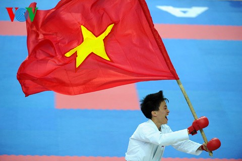 Detik emas kotingen Olahraga Vietnam dalam SEAGAMES 27 - ảnh 2