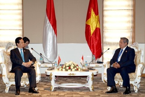 Perdana Menteri Nguyen Tan Dung beraudiensi kepada Presiden Myanamar dan Presiden Indonesia - ảnh 1