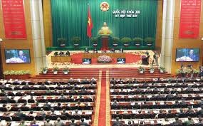 Perbahasan di MN tentang Undang-Undang Kewarganegaraan Vietnam tahun 2008 - ảnh 1