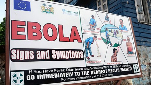 Vietnam memperkuat pengawasan wabah penyakit Ebola - ảnh 1