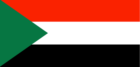 Sudan mengundang sejumlah negara untuk menghadiri Konferensi tetangga Libia. - ảnh 1