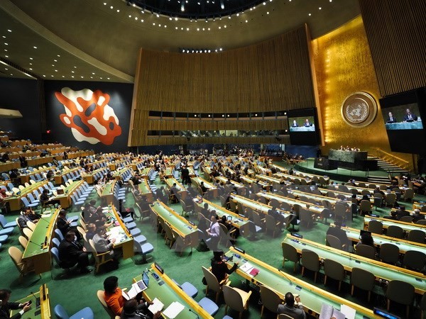 Banyak negara menentang resolusi yang menyerukan membawa RDR Korea ke depan ICC - ảnh 1