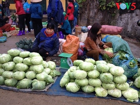 Pasaran di kabupaten  Quan Ba,  propinsi Ha Giang - ảnh 5