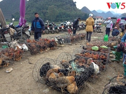 Pasaran di kabupaten  Quan Ba,  propinsi Ha Giang - ảnh 8